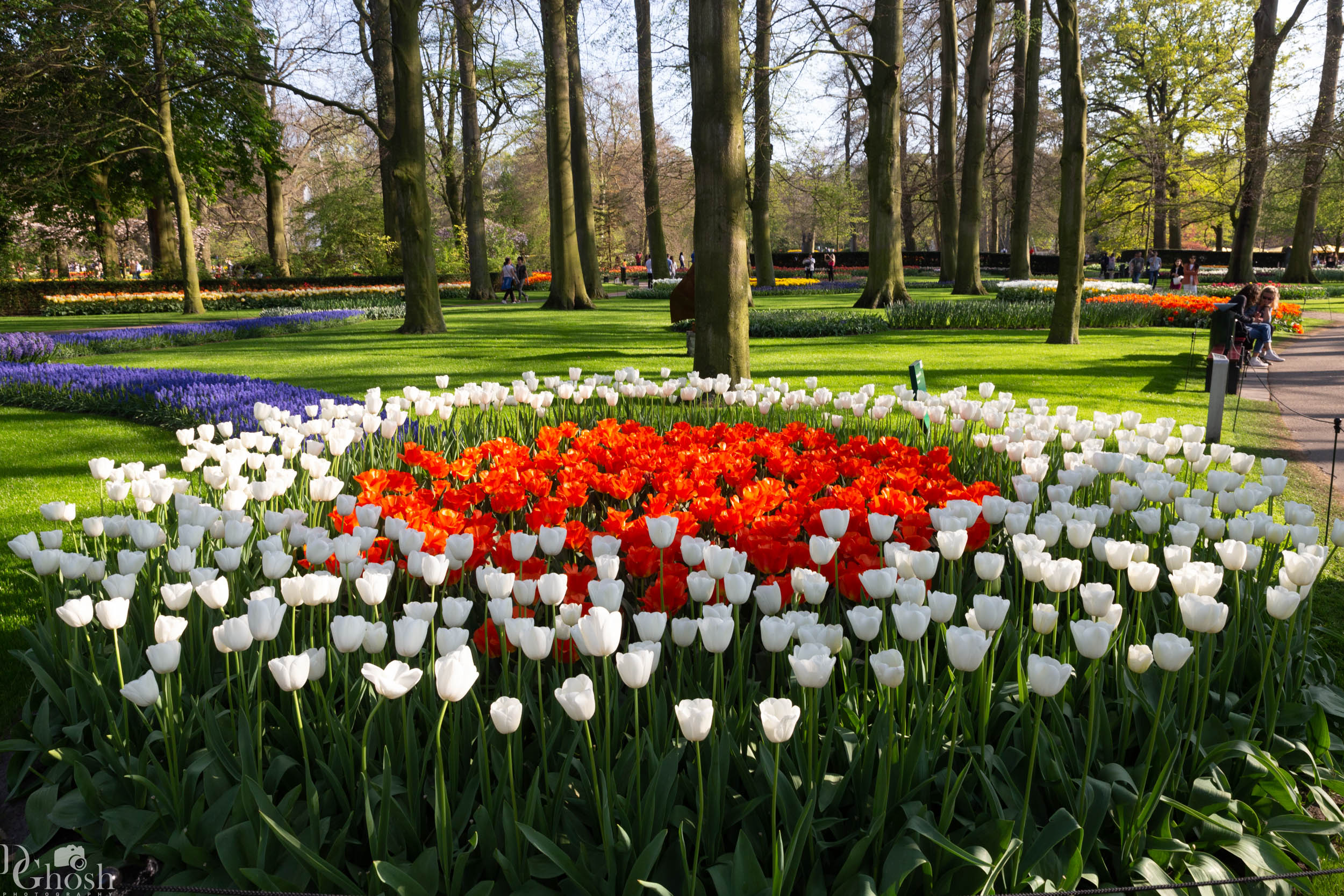 keukenhof2019/_MG_9508-web.jpg
